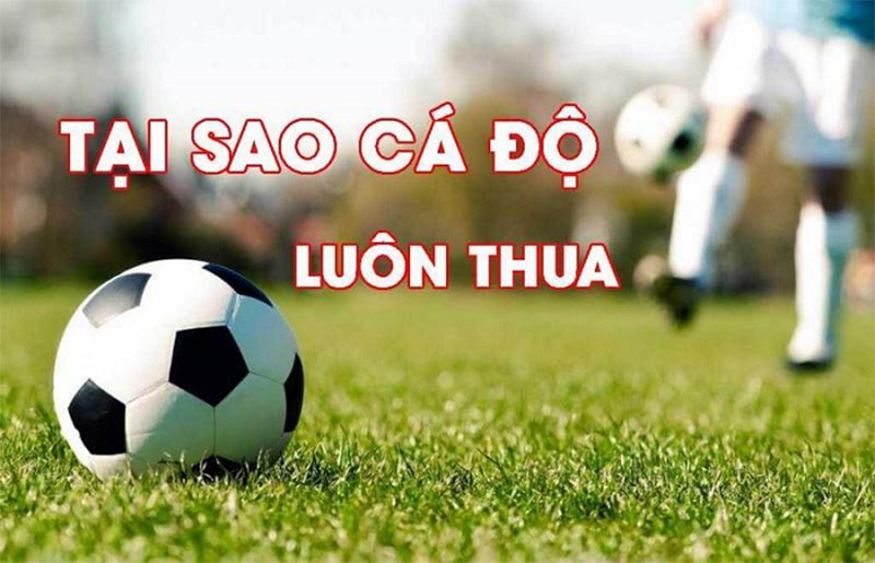 Một vài lý do khiến bạn chơi cá cược bóng đá luôn thua