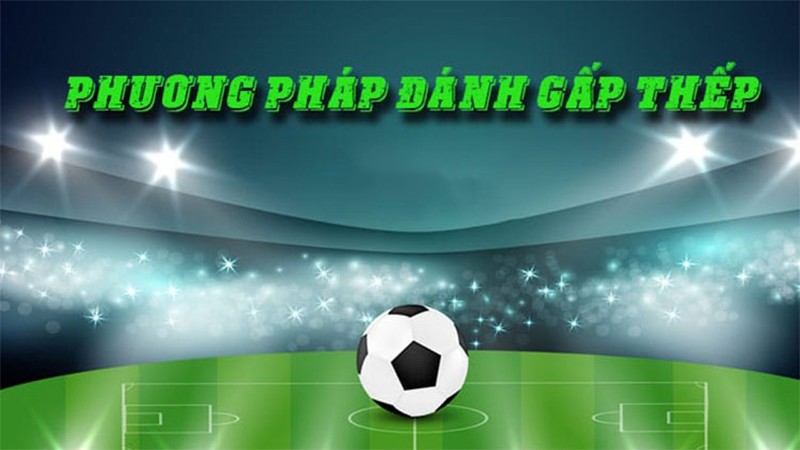Chuyên gia nhà cái chia sẻ bí kíp chơi gấp thếp từ cao thủ