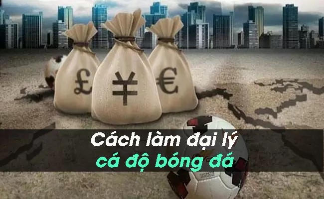 Đại lý cá độ bóng đá là gì? Giải đáp thắc mắc liên quan Đại lý cá độ bóng đá là gì? Giải đáp thắc mắc liên quan