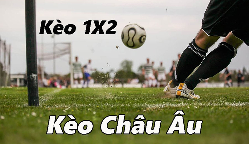 Sơ bộ về cách chơi kèo Châu Âu 1x2 hiệu quả