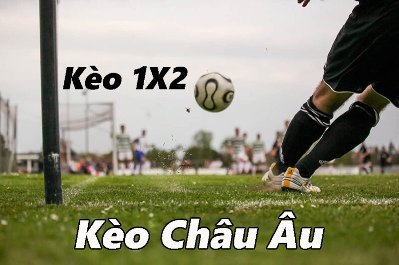 Đặt Kèo châu âu bằng tùy chọn cược xiên Đặt Kèo châu âu bằng tùy chọn cược xiên