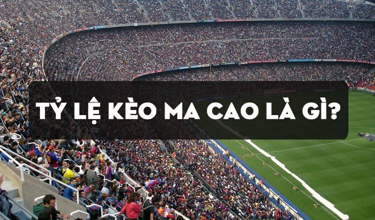 Tỷ lệ kèo Ma Cao là gì? Cách chơi tỷ lệ kèo Ma Cao đơn giản dễ thắng Tỷ lệ kèo Ma Cao là gì? Cách chơi tỷ lệ kèo Ma Cao đơn giản dễ thắng
