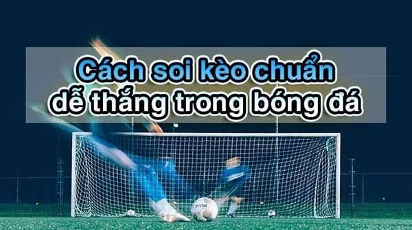 Cách soi kèo châu á tại NBET – Không giấu nghề Cách soi kèo châu á tại NBET – Không giấu nghề