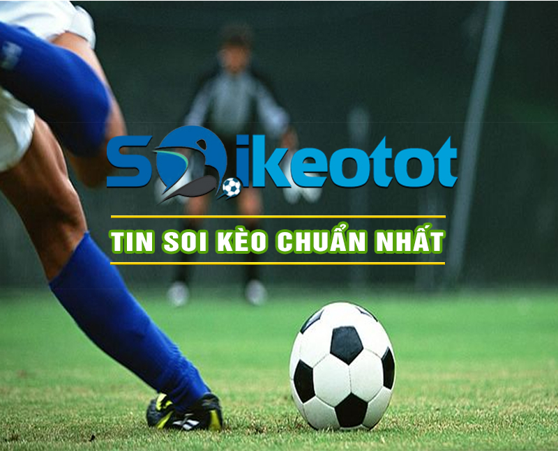 Soikeotot uy tín và chất lượng