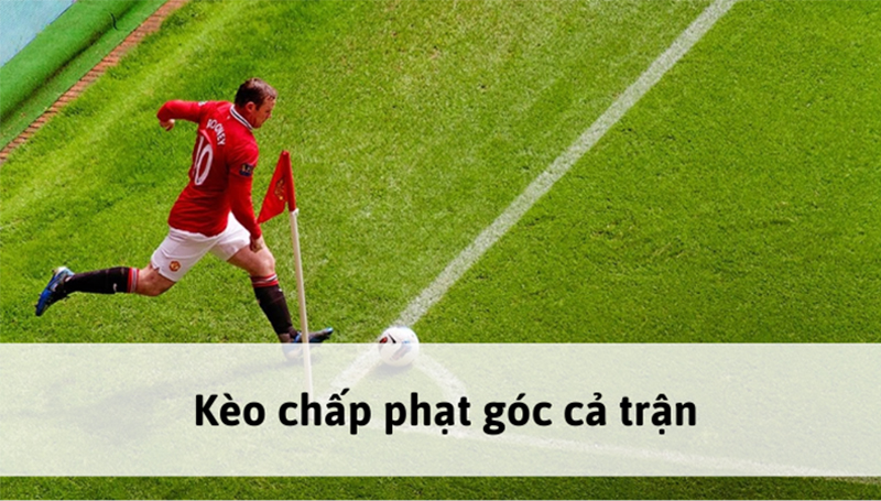 Cách thức chơi kèo phạt góc thắng lớn từ chuyên gia