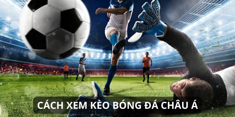 Chiến thuật soi kèo bóng đá Châu Á hiệu quả