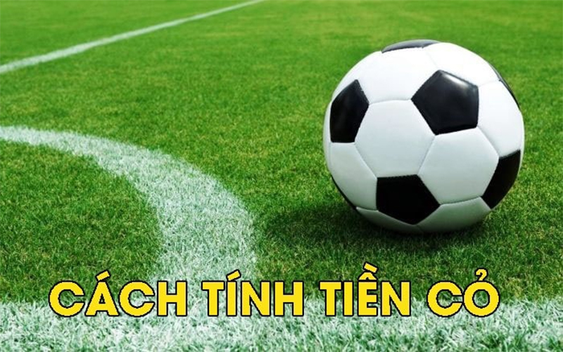 Nắm rõ về công thức trong cách tính tiền cỏ trong cá độ bóng đá hiệu quả