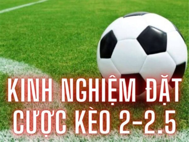 Chuyên gia chia sẻ bí kíp chiến thắng kèo tài xỉu 2-2.5