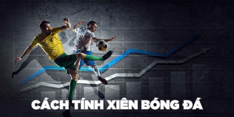 Bí kíp vàng chiến thắng bộ môn soi cược xiên thắng lớn